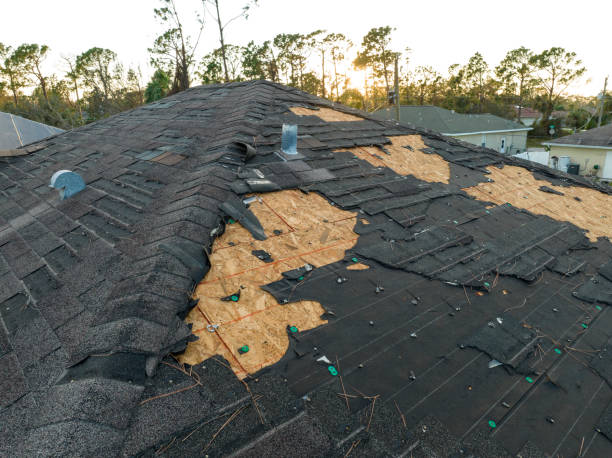 Best Solar Panel Roofing Installation  in Hahnville, LA